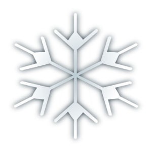 snowflake, snow, ice-295196.jpg